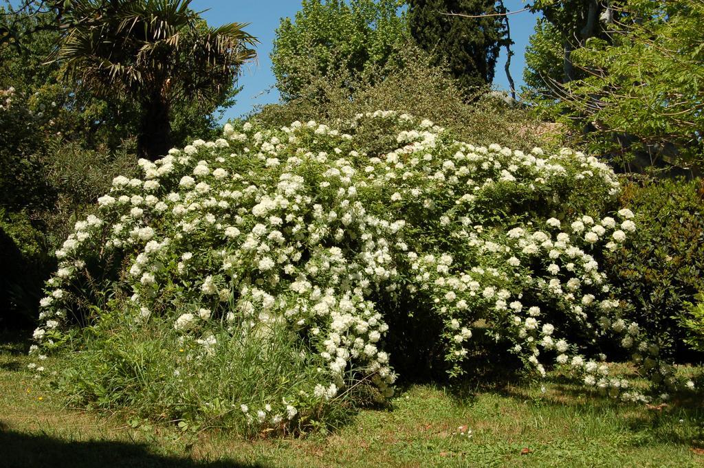 جرافيزون Le Mas Ferrand المظهر الخارجي الصورة