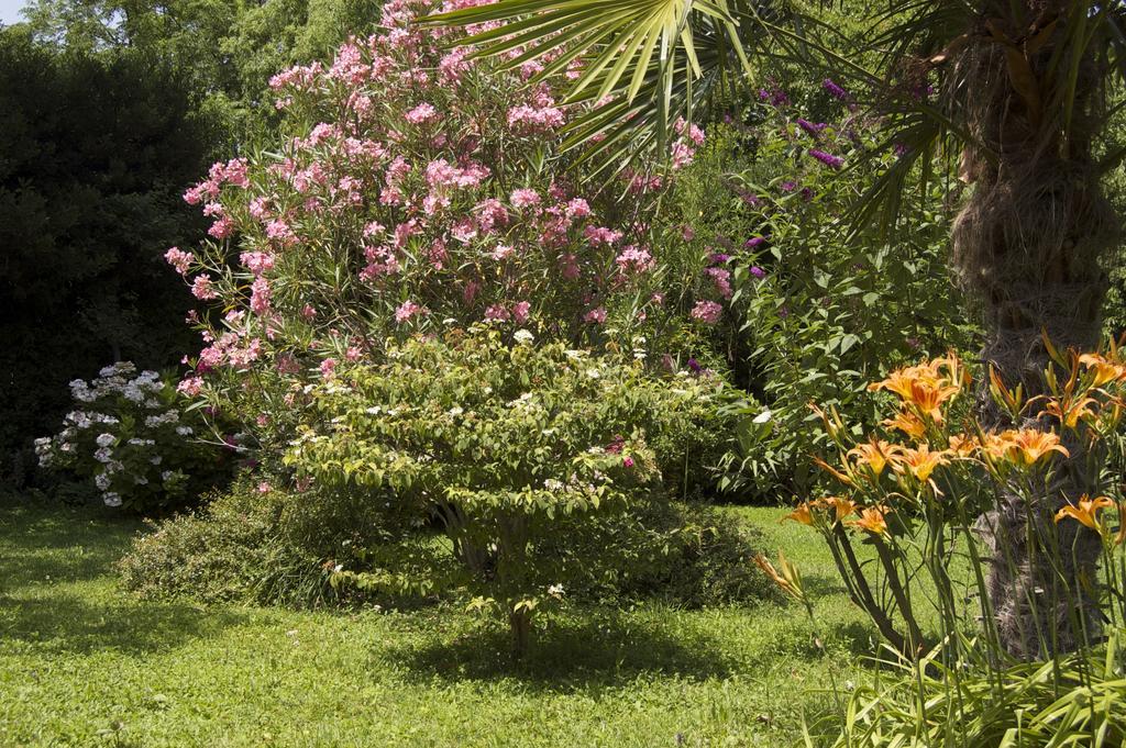 جرافيزون Le Mas Ferrand المظهر الخارجي الصورة