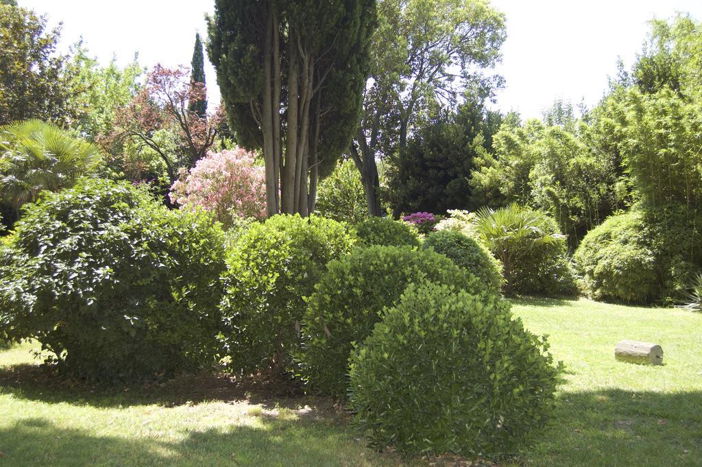 جرافيزون Le Mas Ferrand المظهر الخارجي الصورة